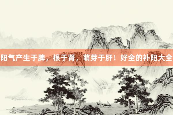 阳气产生于脾，根于肾，萌芽于肝！好全的补阳大全