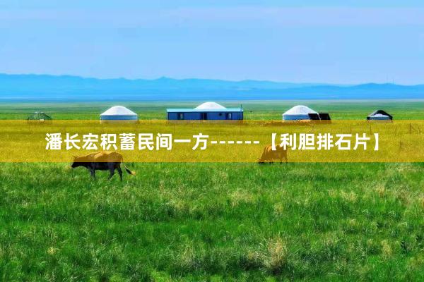 潘长宏积蓄民间一方------【利胆排石片】