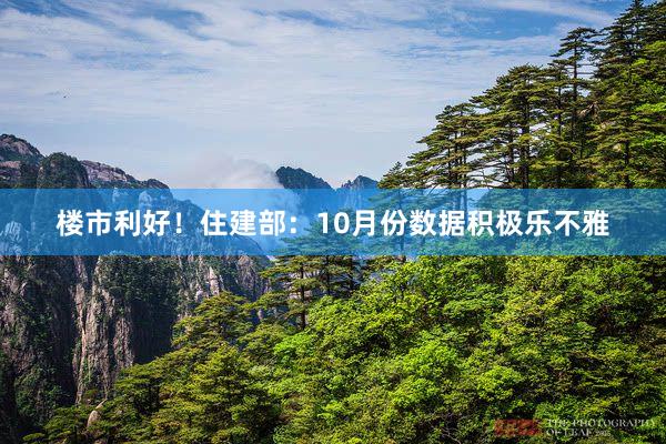 楼市利好！住建部：10月份数据积极乐不雅