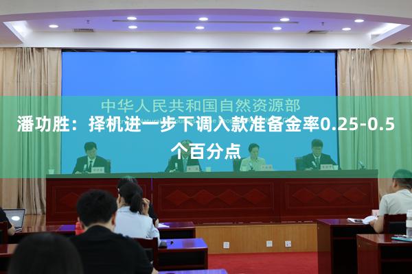 潘功胜：择机进一步下调入款准备金率0.25-0.5个百分点
