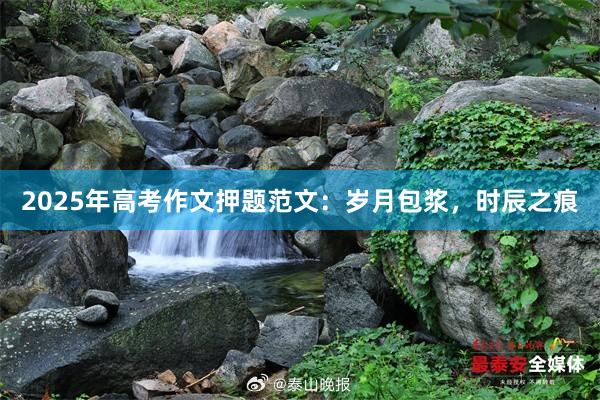 2025年高考作文押题范文：岁月包浆，时辰之痕