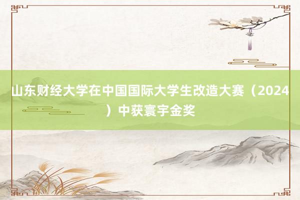 山东财经大学在中国国际大学生改造大赛（2024）中获寰宇金奖