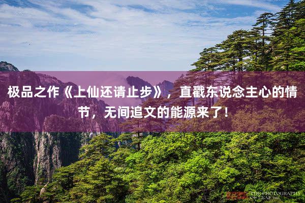 极品之作《上仙还请止步》，直戳东说念主心的情节，无间追文的能源来了！
