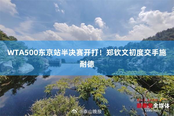 WTA500东京站半决赛开打！郑钦文初度交手施耐德