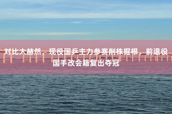 对比太赫然,现役国乒主力参赛削株掘根,前退役国手改会籍复出夺冠