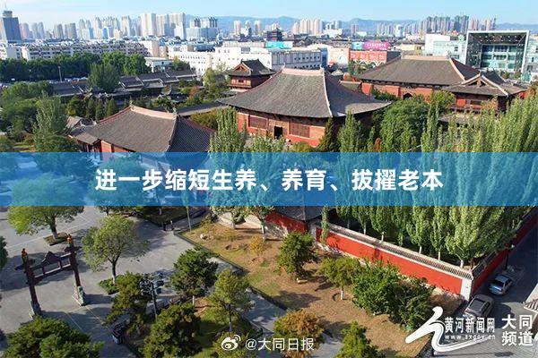 进一步缩短生养、养育、拔擢老本