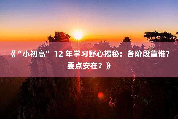 《“小初高” 12 年学习野心揭秘：各阶段靠谁？要点安在？》