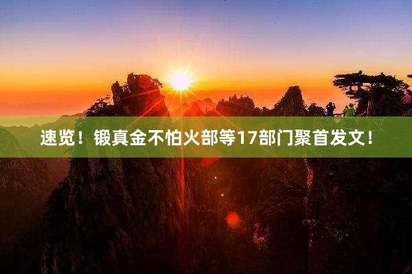 速览！锻真金不怕火部等17部门聚首发文！