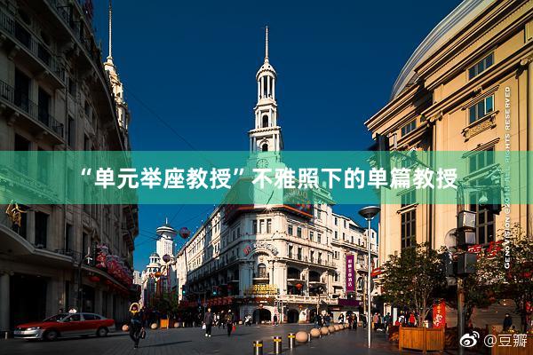 “单元举座教授”不雅照下的单篇教授