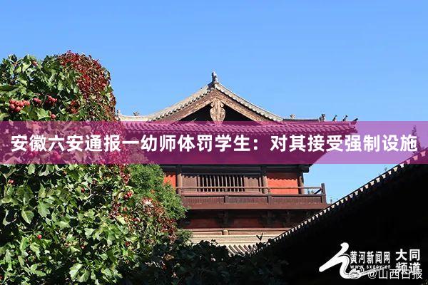 安徽六安通报一幼师体罚学生：对其接受强制设施