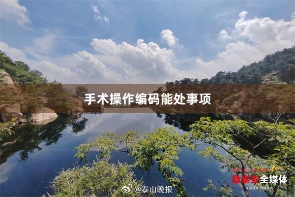 手术操作编码能处事项