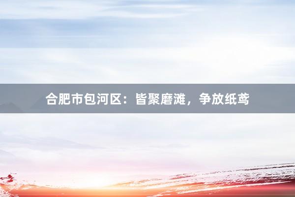 合肥市包河区：皆聚磨滩，争放纸鸢