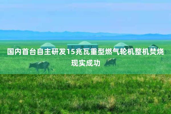 国内首台自主研发15兆瓦重型燃气轮机整机焚烧现实成功