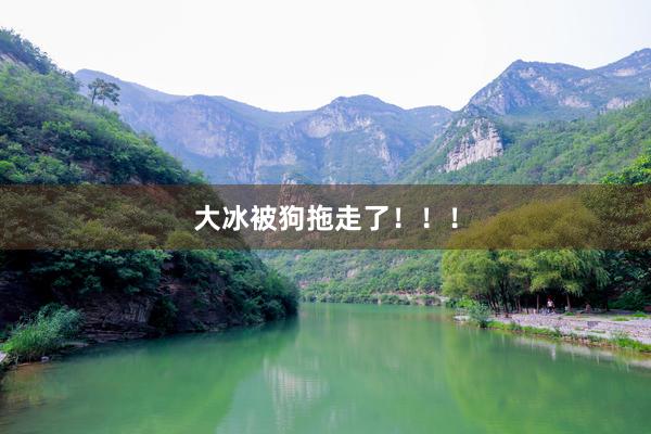 大冰被狗拖走了！！！