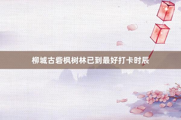 柳城古砦枫树林已到最好打卡时辰