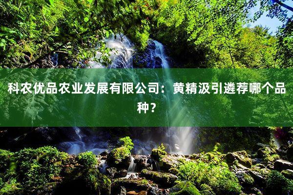 科农优品农业发展有限公司：黄精汲引遴荐哪个品种？