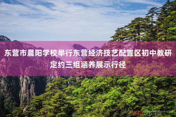 东营市晨阳学校举行东营经济技艺配置区初中教研定约三组涵养展示行径