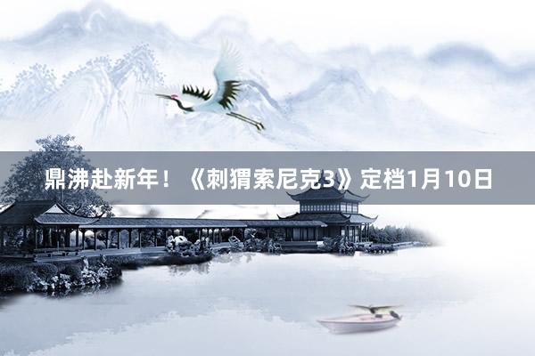 鼎沸赴新年！《刺猬索尼克3》定档1月10日