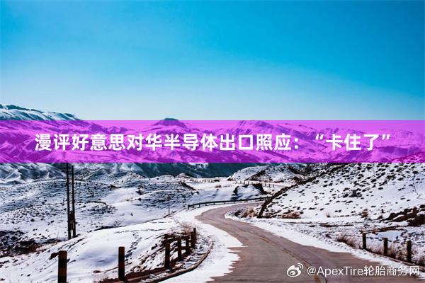 漫评好意思对华半导体出口照应：“卡住了”